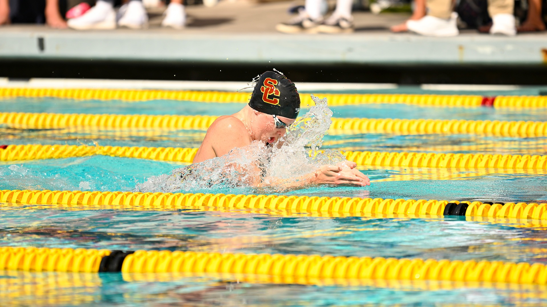 Men's and Women's Swimming