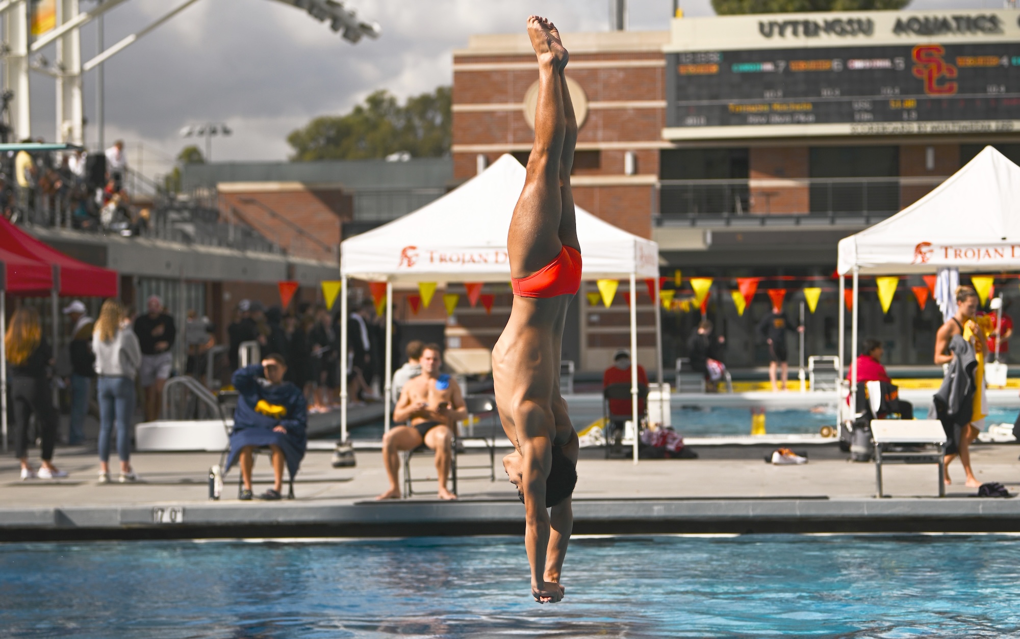 Men's and Women's Diving